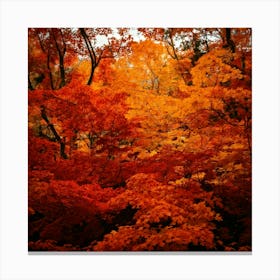 Firefly Autumn Leaves In Blaze Fiery Reds, Oranges, And Yellows Of Fall Foliage 2 Canvas Print