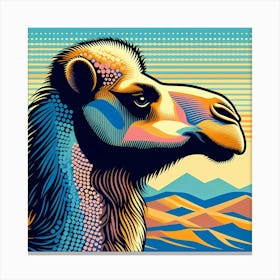 Camel 3 Canvas Print