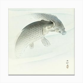 Two Carp Fish (1900 1910), Ohara Koson Canvas Print