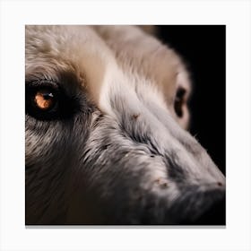 Polar Bear Canvas Print