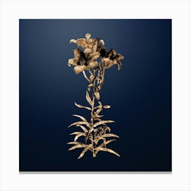 Gold Botanical Fire Lily on Midnight Navy n.1275 Canvas Print