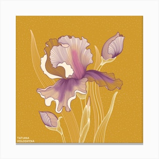 Iris Flower Square Canvas Print