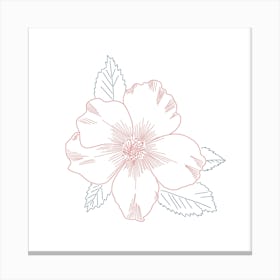 Lineart Dogrose Canvas Print