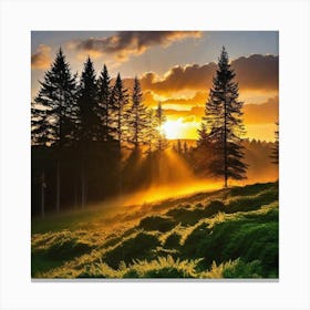 Sunrise In The Forest 7 Canvas Print