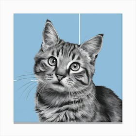 Striking Gaze Black And White Cat Illustration (3) Canvas Print