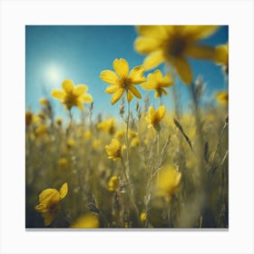 Yellow Flowers In A Field 30 Canvas Print