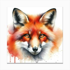 Red Fox Canvas Print