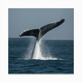 Humpback Whale 3 Canvas Print