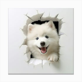 Samoyed Puppy Canvas Print