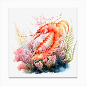 Coral Shrimp Canvas Print