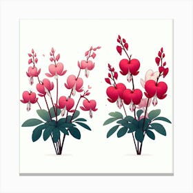 Flowers of Bleeding heart, Vector art 9 Canvas Print