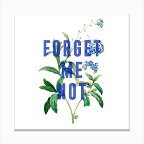 Forget Me Not Square Canvas Print