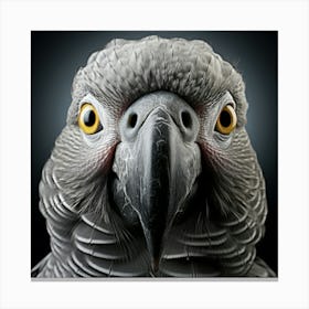 Portrait Of A Parrot Canvas Print