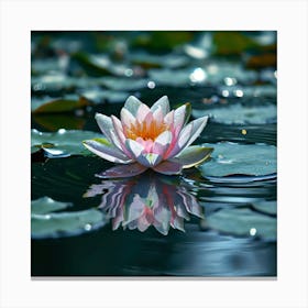 Water Lily 1 Canvas Print