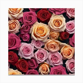 Roses Background 1 Canvas Print