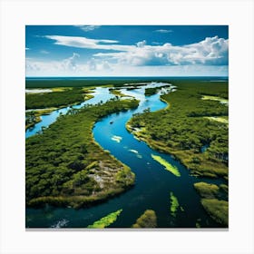 Everglades National Park Florida Canvas Print