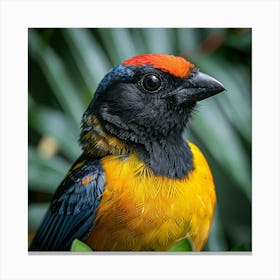 Colorful Bird 18 Canvas Print