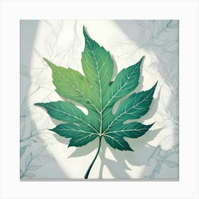 Green Fig Leaf On White Background With Line Art Leaves And Shadows Canvas Print