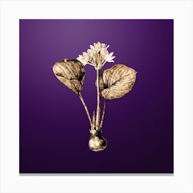 Gold Botanical Cardwell Lily on Royal Purple n.3206 Canvas Print