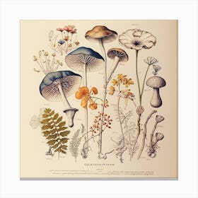 Botanical Sketch Nature Mushrooms Funghi Journal Canvas Print