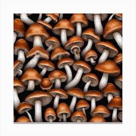Mushrooms On A Black Background 2 Canvas Print