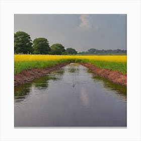 Rapeseed Field Canvas Print