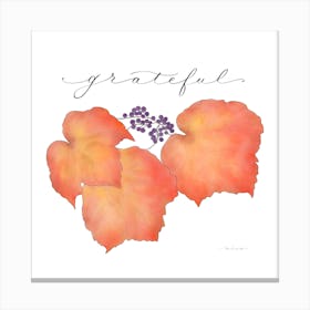 Grateful Autumn Leaves with White Background Canvas Print