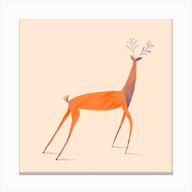 The Deer Canvas Print