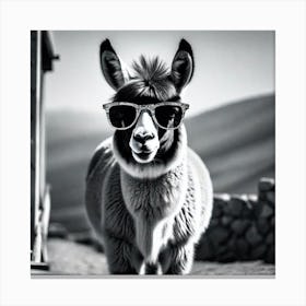Llama In Sunglasses 7 Canvas Print