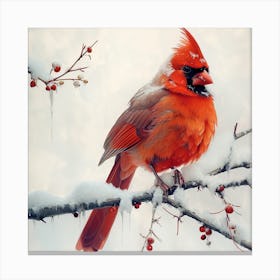 Cardinal In Snow 1 Canvas Print