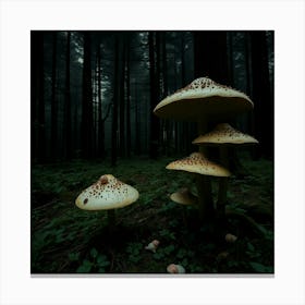 Mushrooms In The Forest 14 Canvas Print