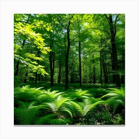 Ferns In The Forest Canvas Print