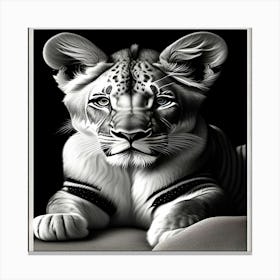 Lion Cub Canvas Print