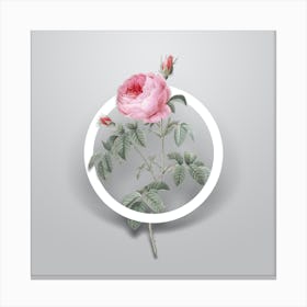 Vintage Provence Rose Bloom Minimalist Floral Geometric Circle on Soft Gray n.0546 Canvas Print