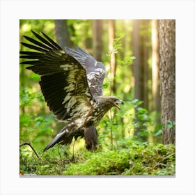 Golden Eagle In The Forest 1 Canvas Print