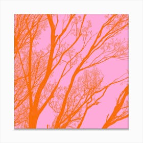 Winter Trees Silhouette Orange On A Pink Background Canvas Print