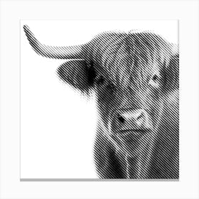 Highland Cow 2 Canvas Print