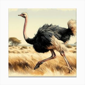 Wild Bird Artwork 17 Canvas Print