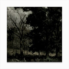 Dark Forest 1 Canvas Print