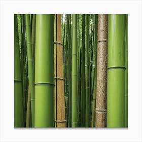 Bamboo Forest Canvas Print