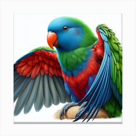 Parrot of Eclectus 1 Canvas Print