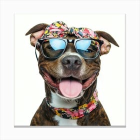 Cute Dog Wearing Sunglasses Lienzo