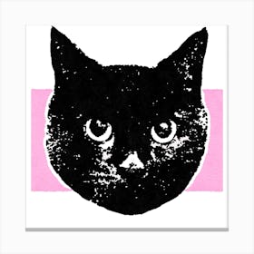 Soft Pink Cat 2 Square Canvas Print