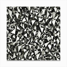 Black and White Abstract Art 163 Canvas Print