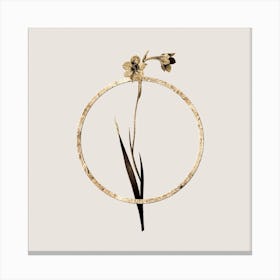 Gold Ring Sword Lily Glitter Botanical Illustration n.0165 Canvas Print