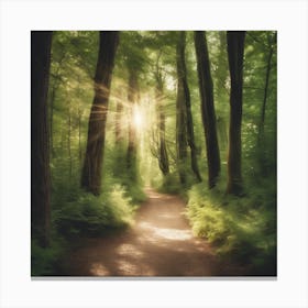 Path Through The Forest 7 Canvas Print