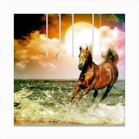 Horse On The Beach Canvas Print