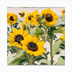 Sunflowers On The Beach Canvas Print