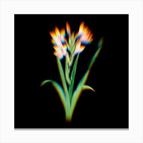 Prism Shift Gladiolus Saccatus Botanical Illustration on Black n.0194 Canvas Print