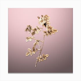 Gold Botanical Pink Sweetbriar Roses on Rose Quartz Canvas Print